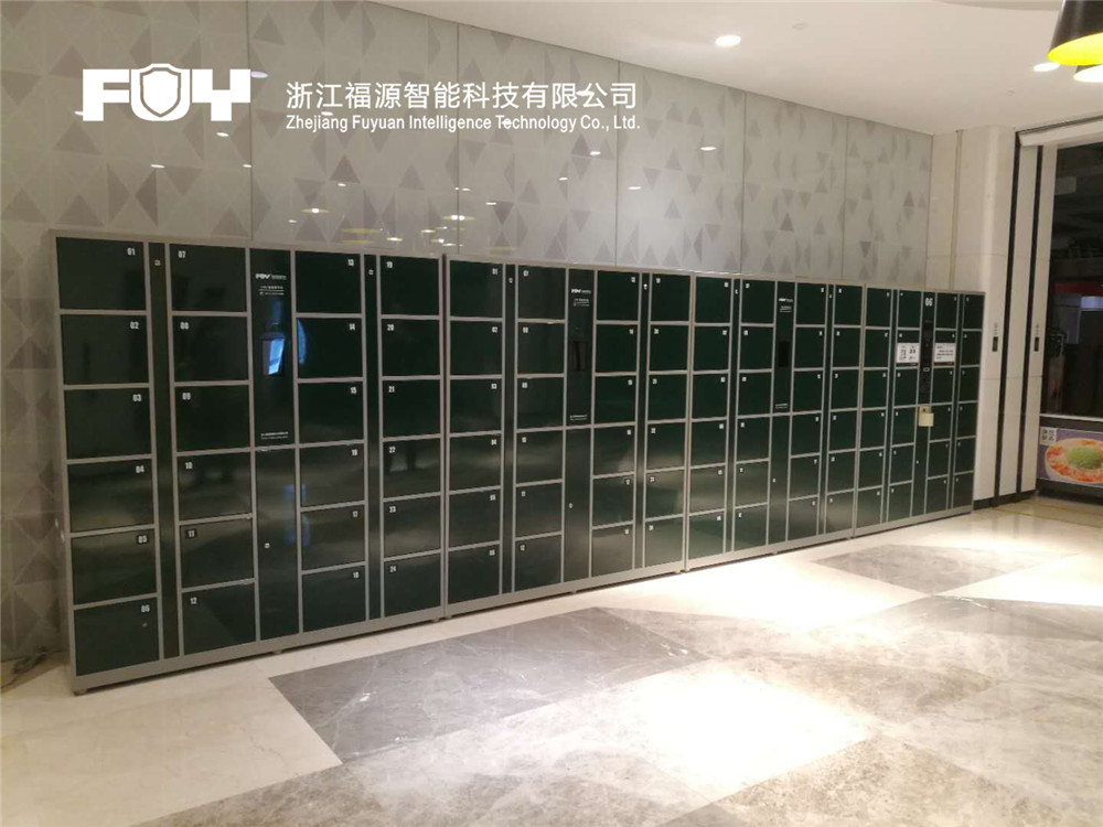 存包柜 存包柜